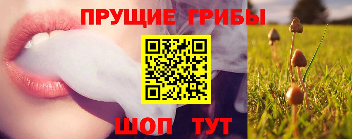 Йошкар-Ола  Галлюциногенные грибы Magic Shrooms  Вход с VPN 